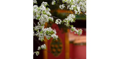 【展会资讯】JDB电子精机5月展会一览，，，，，，等您来旅行！